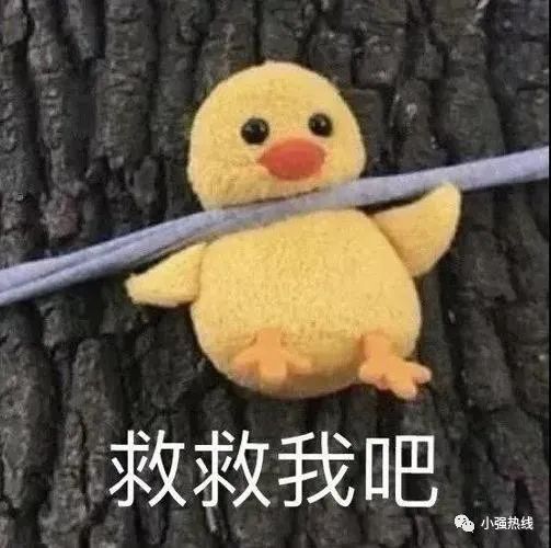 DƬ